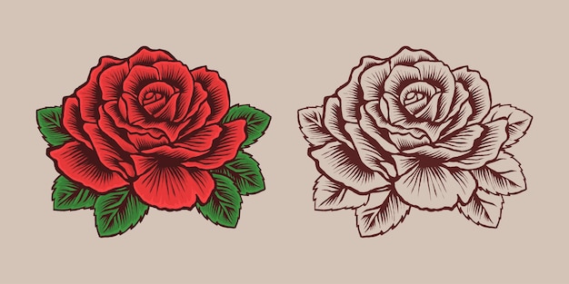 美しい赤いバラの花のイラスト