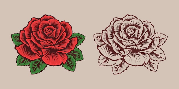 Bella illustrazione del fiore della rosa rossa