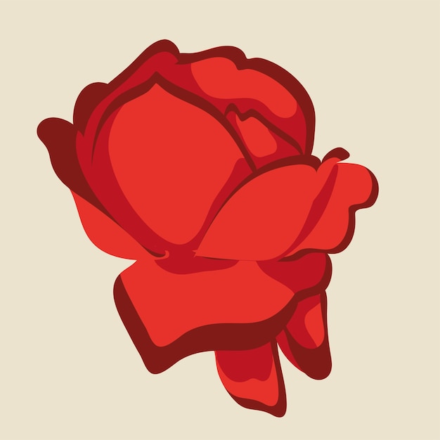 Beautiful red rose flower vector illustration