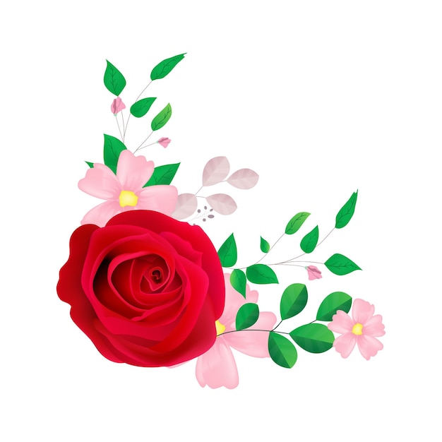 Beautiful red rose illustration