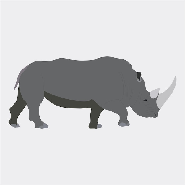 Vector a beautiful rhinoceros vector artwork