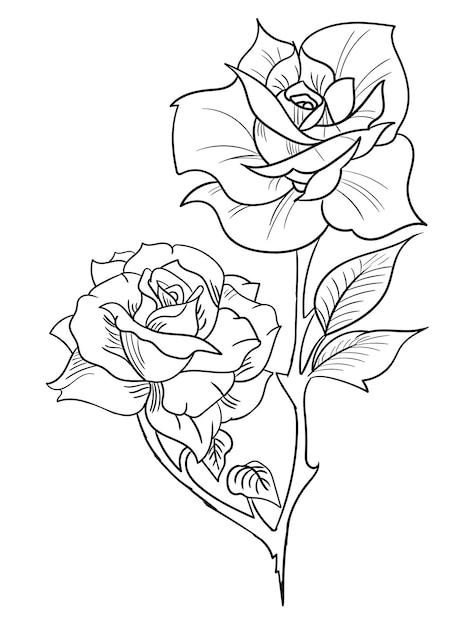 本やタトゥーのデザインを着色するための美しいバラ。