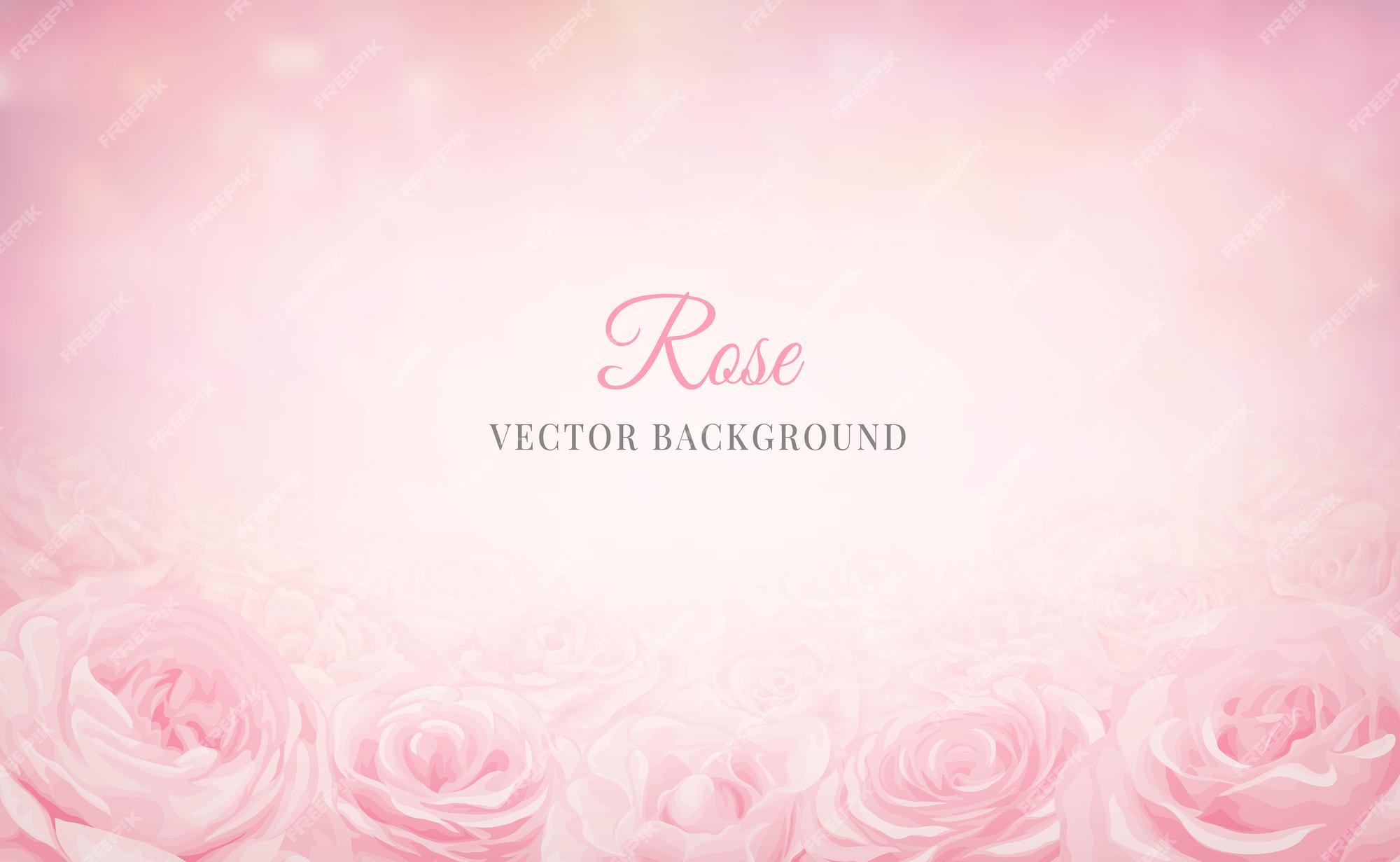 Rose Background Images - Free Download on Freepik
