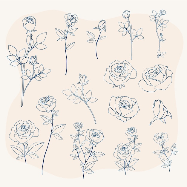 Beautiful rose flower outline vector icon set