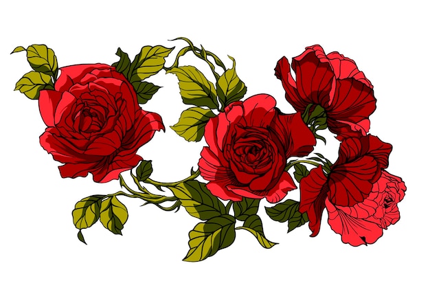 Beautiful rose isolated on black Red rose Perfect for background greeting cards and invitations fo