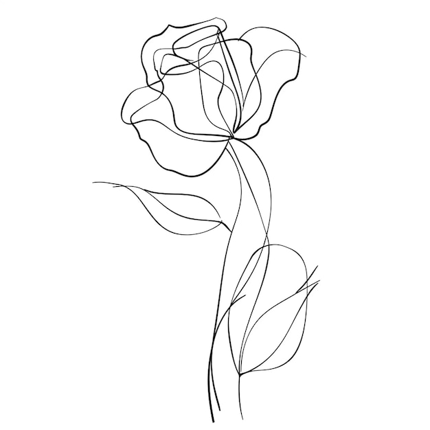 beautiful rose line art sketch minimalist