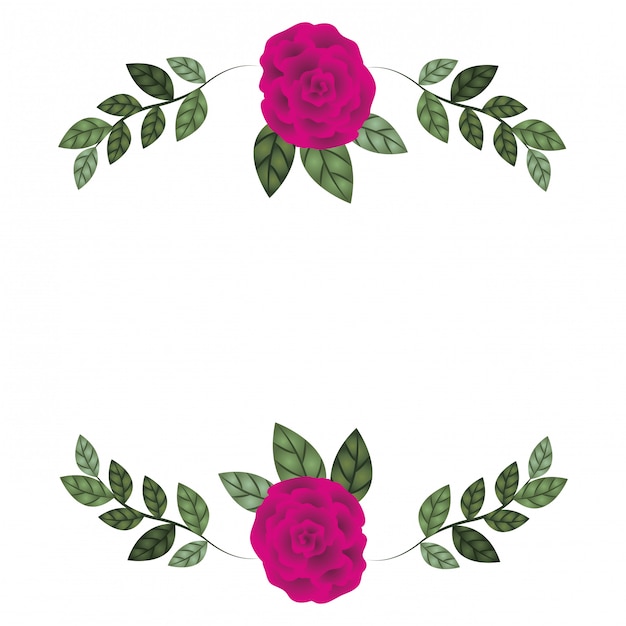 Beautiful roses with leafs isolated icon