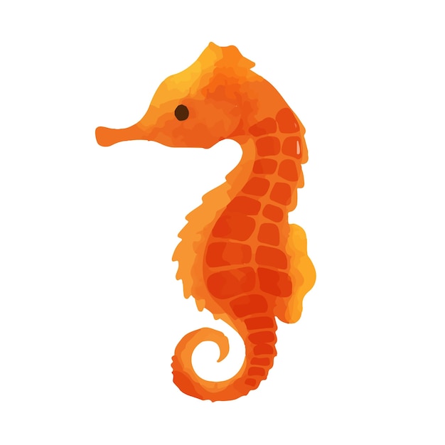 Beautiful seahorse