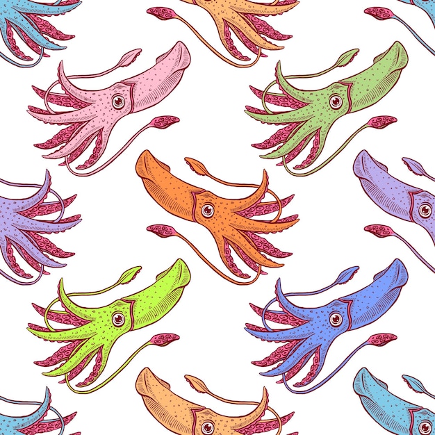 Vettore bellissimo sfondo senza soluzione di continuità di calamari multicolori. illustrazione disegnata a mano