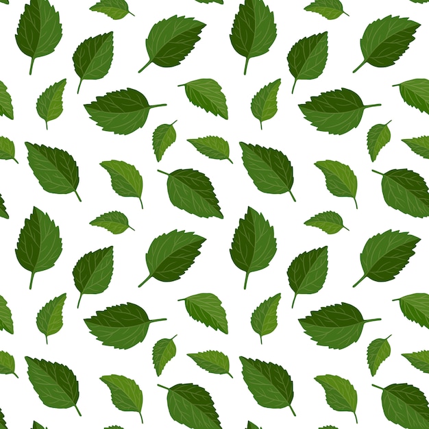 Beautiful seamless floral pattern background. Green leaves backdrop. 