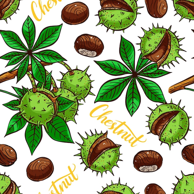 Beautiful seamless pattern of different colorful chestnuts. hand-drawn illustration