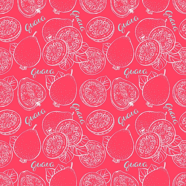 Vector beautiful seamless pattern of sketch delicious ripe guava. hand-drawn illustration