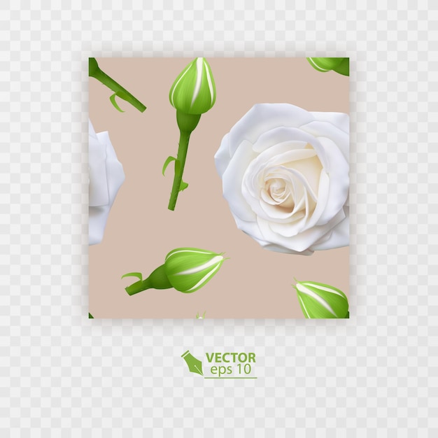 Красивый фон с букетами цветов из белых роз на светлом фоне Прекрасный цветочный