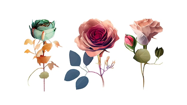 beautiful set of colorful flowers watercolor vector illustration