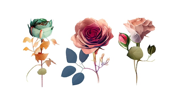 Bella serie di fiori colorati acquerello illustrazione vettoriale