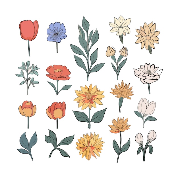 Bellissima serie di illustrazioni di fiori su sfondo bianco