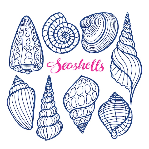 Beautiful set of sketch colored seashells. hand-drawn illustration