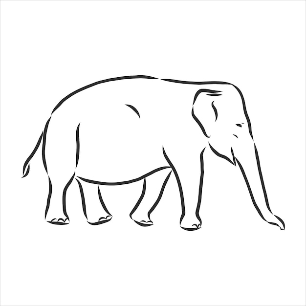 Красивый эскиз взрослого азиатского слона с линией