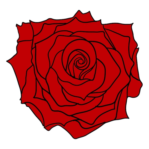 白地にバラの花の美しいスケッチ赤