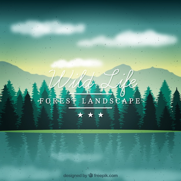 Vector beautiful skyline full pines background