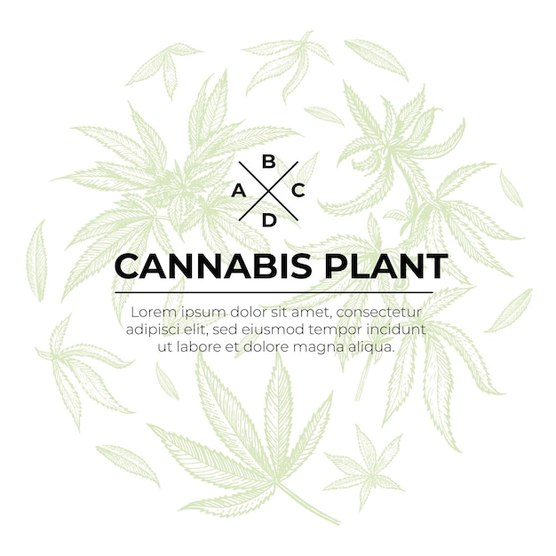 A beautiful sprig of cannabis Botanical illustration in the style of line art Plant engraving Min