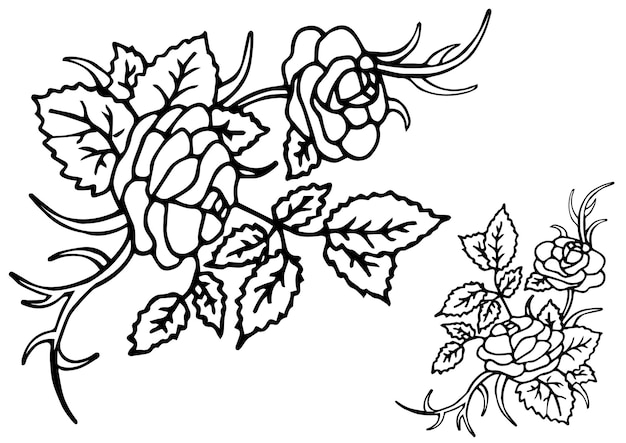 Красивый летний узор из цветов роз на белом фоне Цветная книга векторная иллюстрация