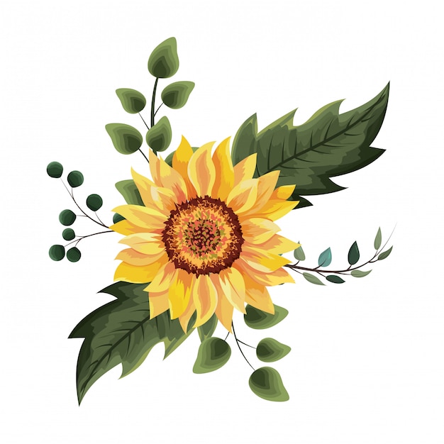 Beautiful sunflower drawing