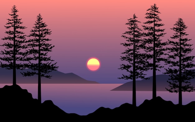 Vector beautiful sunset scene with pine tree silhouette