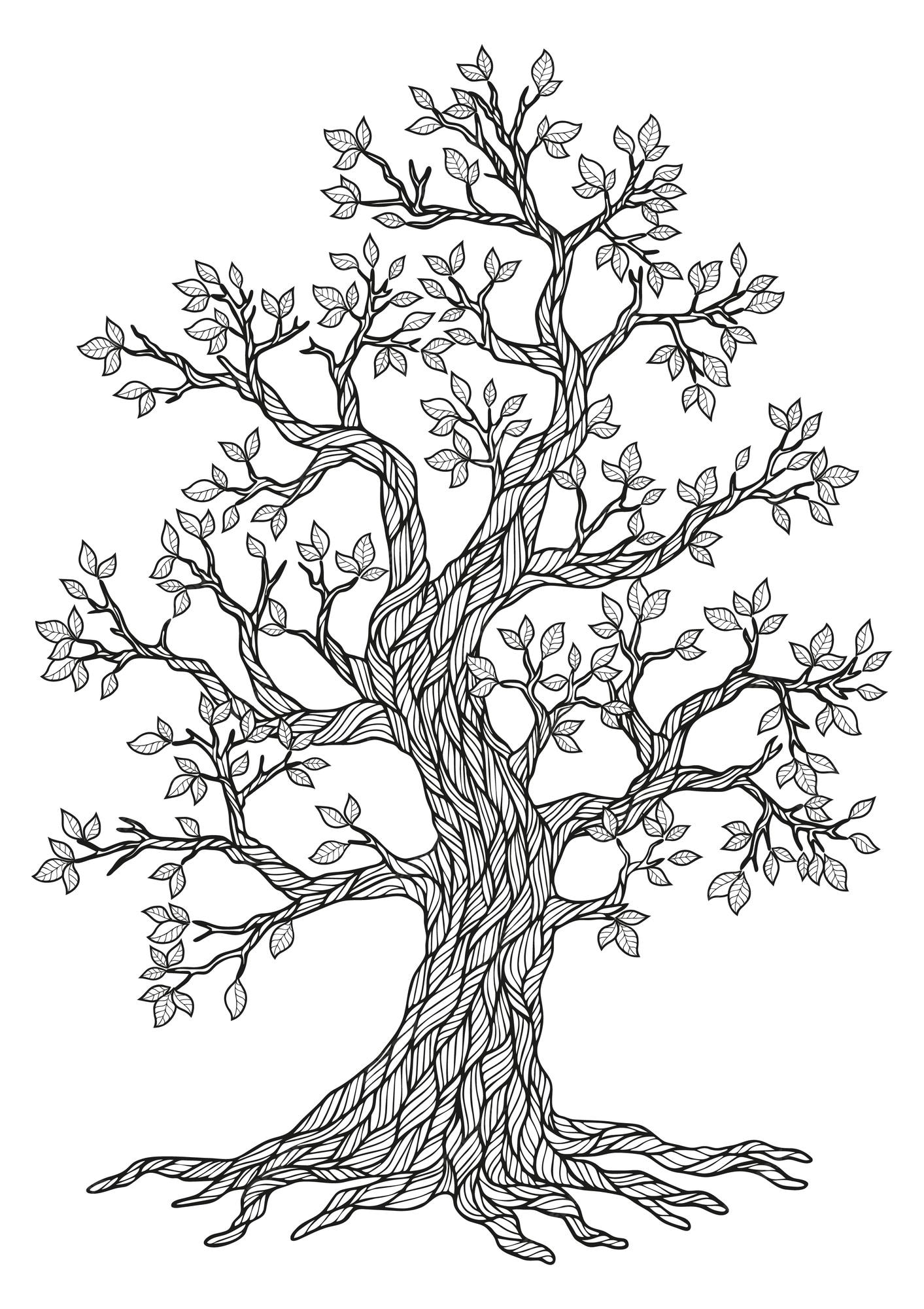 Premium Vector | Beautiful Tree Drawing Coloring Page