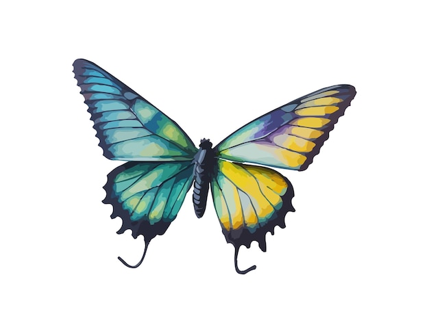 Beautiful tropical butterfly painted in watercolor Summer insect illustration for cards and wedding