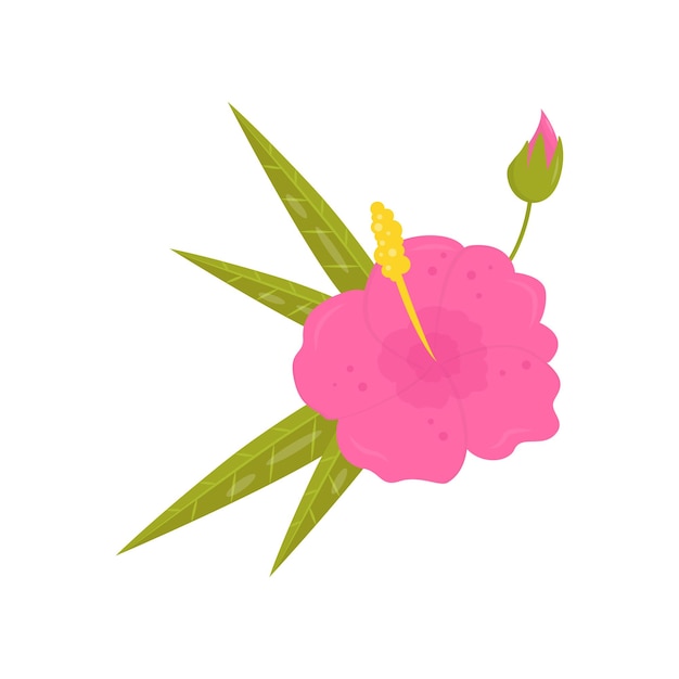 Vector beautiful tropical flower blooming hibiscus with bright pink petals and green leaves flat vector element for poster or banner