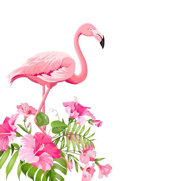 Vector beautiful tropical image with pink flamingo and plumeria flowers.