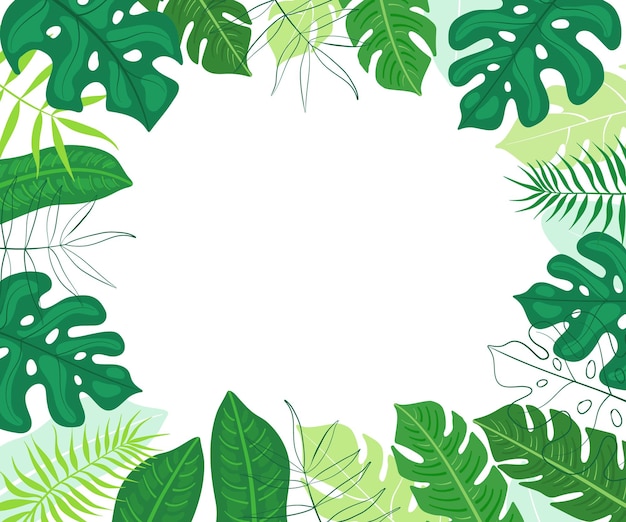 Beautiful tropical leaf frame white background Vector design for wedding Summer background