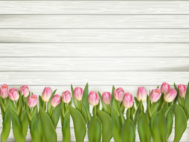 Beautiful tulips.