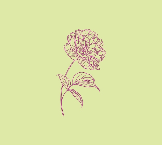 Beautiful vector flower 3