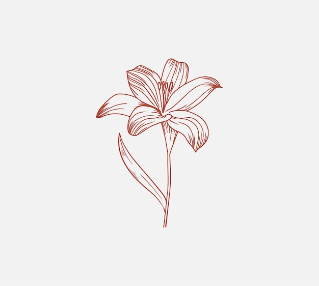 Beautiful Vector Flower 6