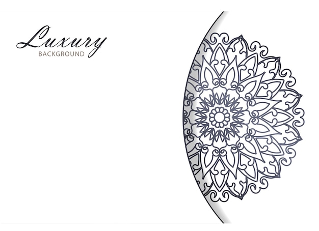 Vector beautiful vector hand drawn indian ornament mandala on background style