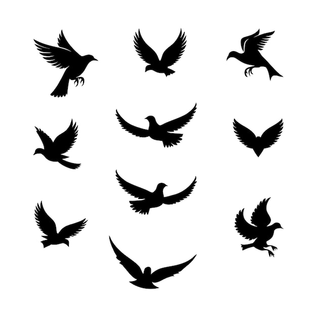 Beautiful vector silhouette bird