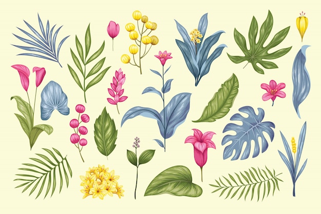 Vector beautiful vintage hand drawn floral collection