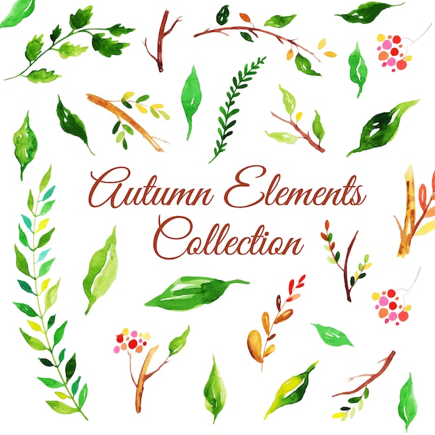 Beautiful Watercolor Autumn Leaves Collection