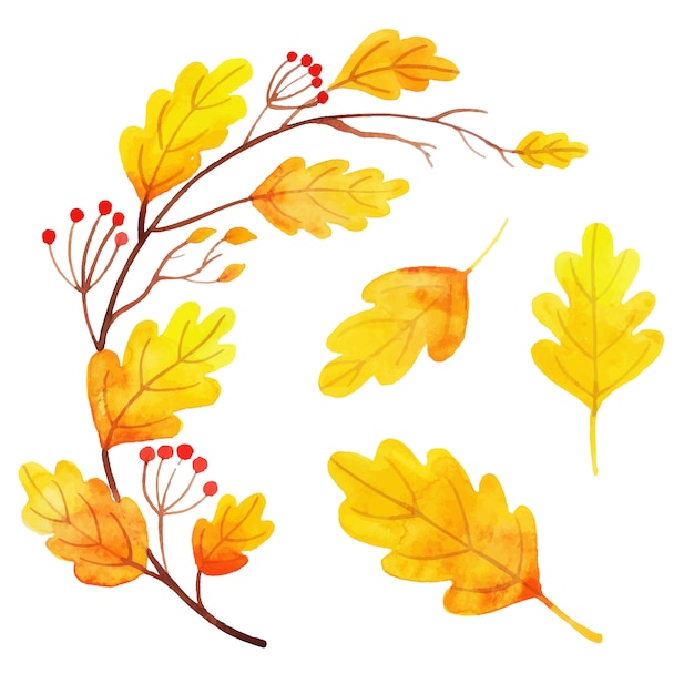 Beautiful Watercolor Autumn Leaves Collection