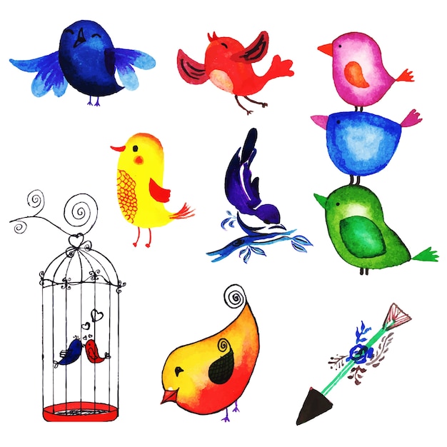 Vector beautiful watercolor birds collection