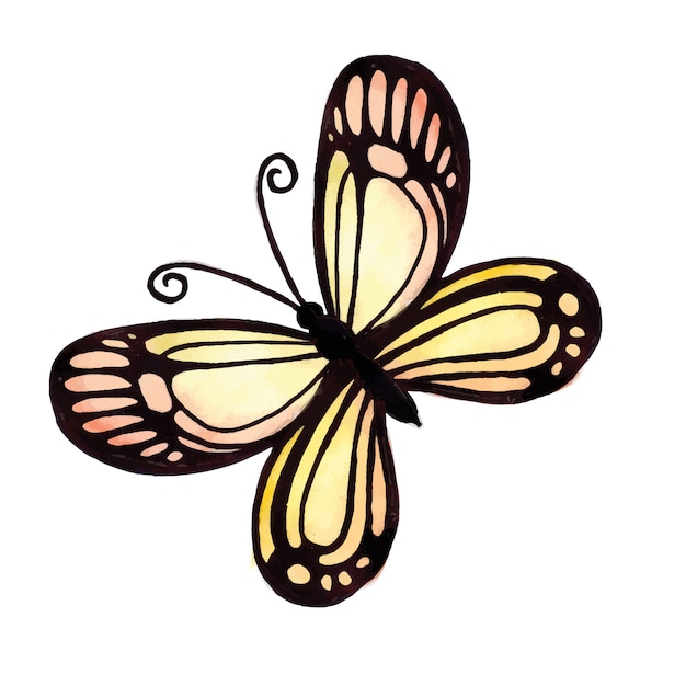 Красивая акварельная бабочка