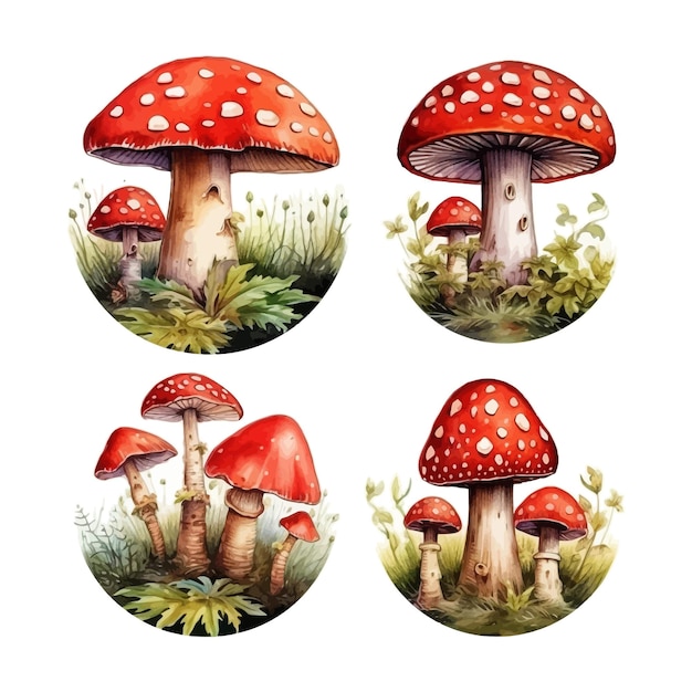 Bellissimo set di clip art ad acquerello con fungo amanita della foresta disegnato a mano