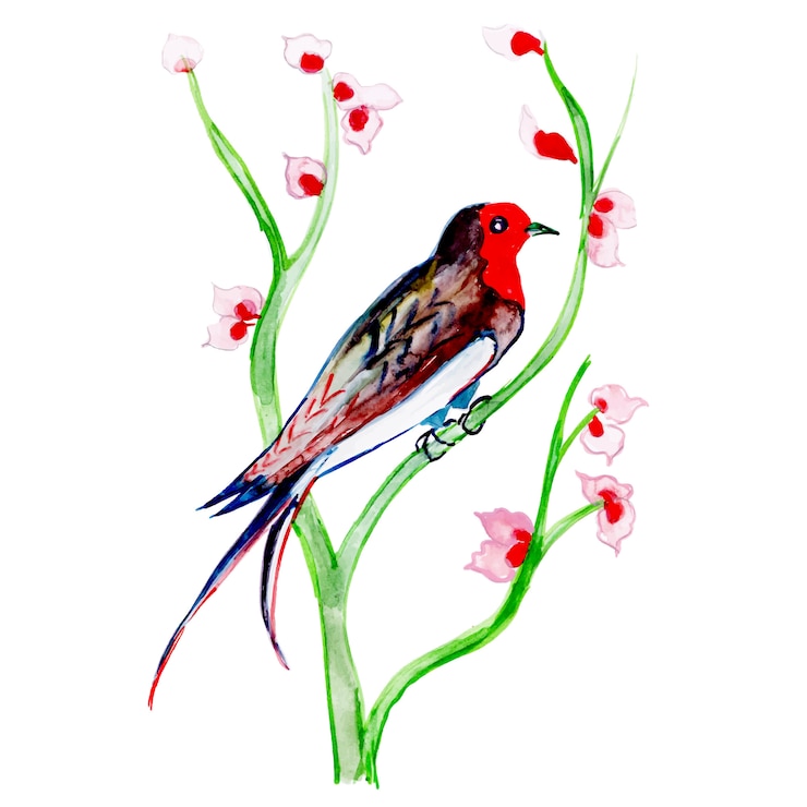 Vector beautiful watercolor exotic bird on a branch background 