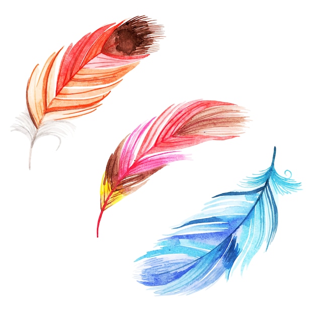 Vector beautiful watercolor feather collection