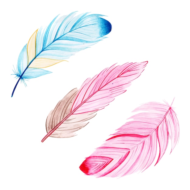 Vector beautiful watercolor feather collection