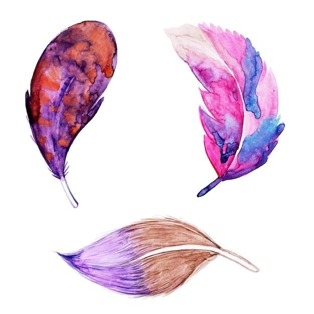 Vector beautiful watercolor feather collection