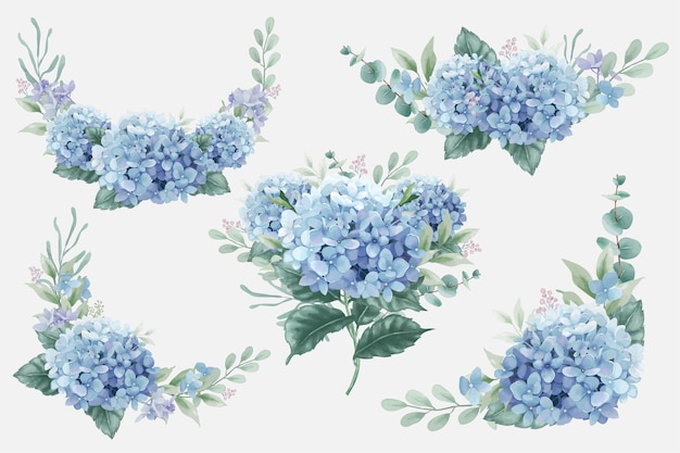 Vector beautiful watercolor floral bouquets with hydrangea flowers and eucalyptus branches