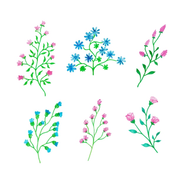 美しい水彩花の枝手描きグリーティング カードの水彩ベクトル イラスト